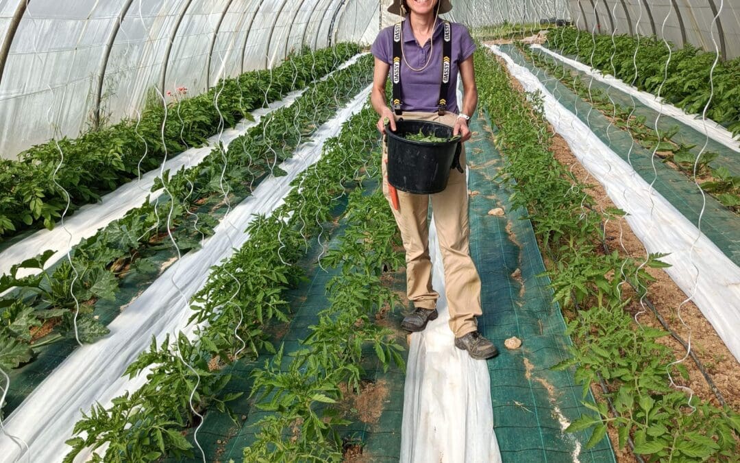 Olivia dans sa serre les légumes du jas